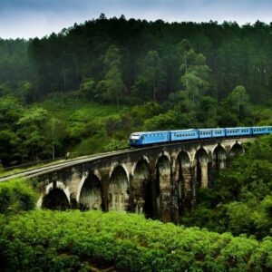 Ultimate Guide to 50 Day Tours in Sri Lanka 2026 – All‑Inclusive Prices (Taxes & Service Fee Included)