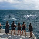 Whale Watching Sri Lanka 2026 | Best Season, Spots & Ethical Tours