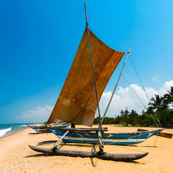 Day 1 — Airport → Negombo  - 22 March | Spring Break: A Solo-Friendly Sri Lanka Group Journey