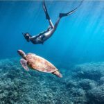 Sea Turtle Hatchery Sri Lanka 2026 | Ethical Visits & Conservation Guide