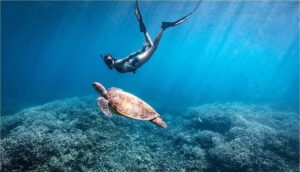 Trincomalee 2026 Guide: Why Sri Lanka’s East Coast Is the Year’s Hottest Hidden Gem