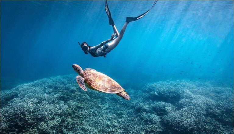 snorkelling