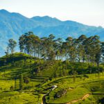Destination Management Company Sri Lanka 2026 | Best DMC Guide