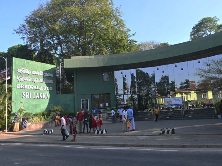 Zoo