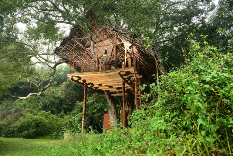 Sri Lanka treehouse