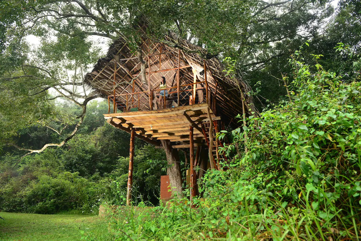The Sri Lankan Treehouse That Taught Me More Than Any 5-Star Hotel