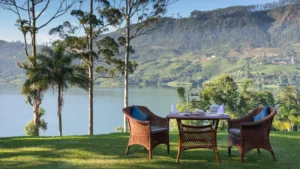 Ceylon Tea Trails: The Ultimate Guide to Sri Lanka’s Luxury Tea Bungalow Experience 2026