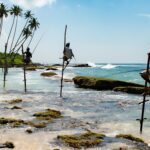 Bespoke Sri Lanka Travel: What It Means & Why It Matters