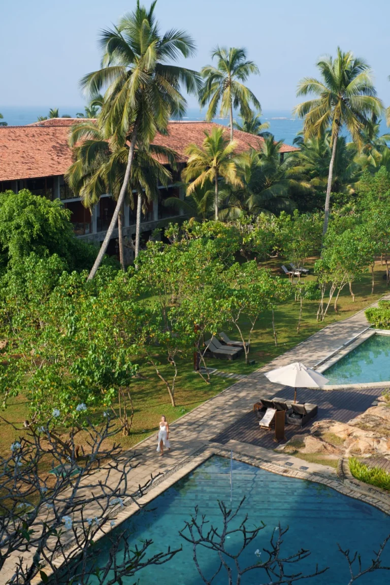 Sri Lanka Q&A 2026 | Complete Guide to Travel, Culture & Wildlife