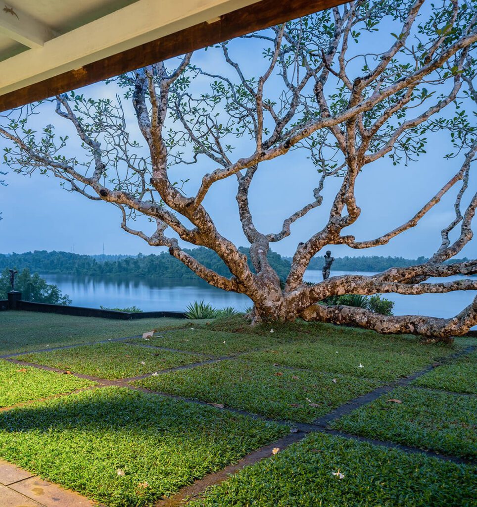 Geoffrey Bawa Sri Lanka Tour Hotels: Where to Stay in His Masterpieces 2 Geoffrey Bawa Gardens